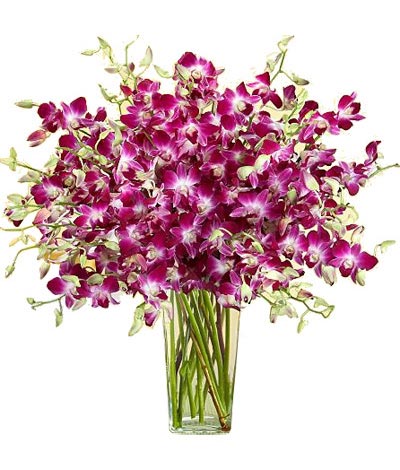 Những mẫu hoa màu tím tinh tế và thanh lịch
