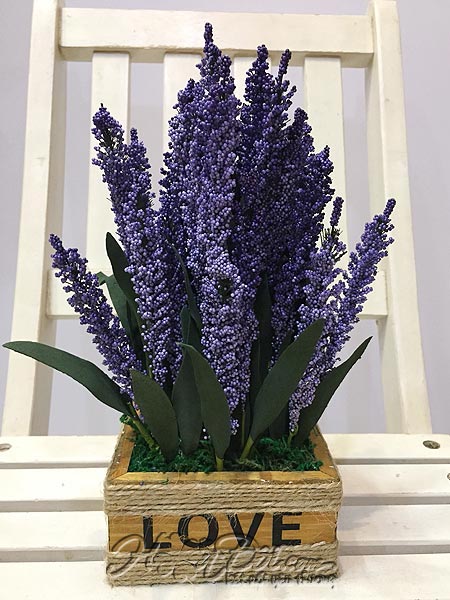 Điện hoa tươi và Quà tặng - Chậu hoa xốp lavender