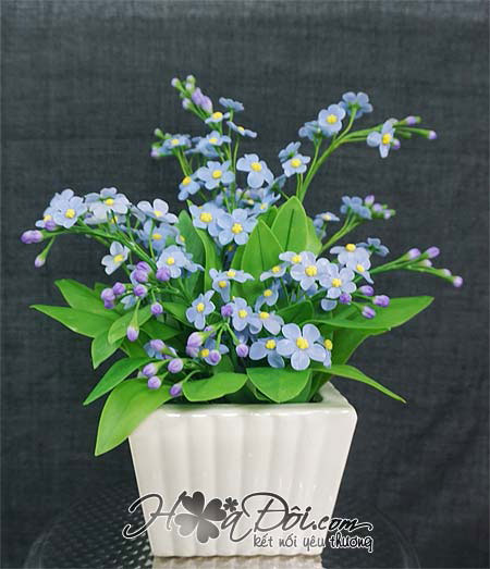 Điện hoa tươi và Quà tặng - Hoa lưu ly đất sét xanh