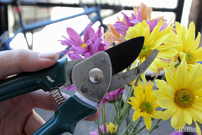 Care for Flowers Step 7.jpg