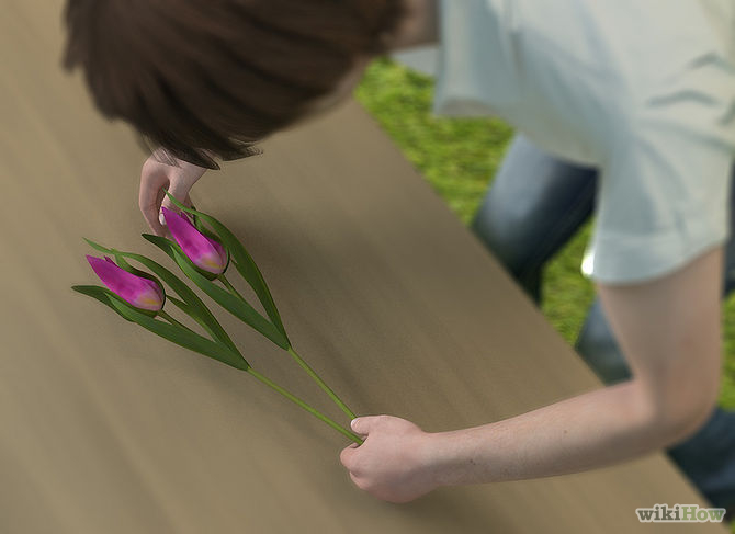 Care for Fresh Cut Tulips Step 3 Version 8.jpg