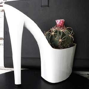 unusual planters for small cacti and indoor plants