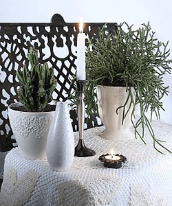 vases and indoor plants in white ceramic planters